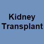 Kidney.jpg